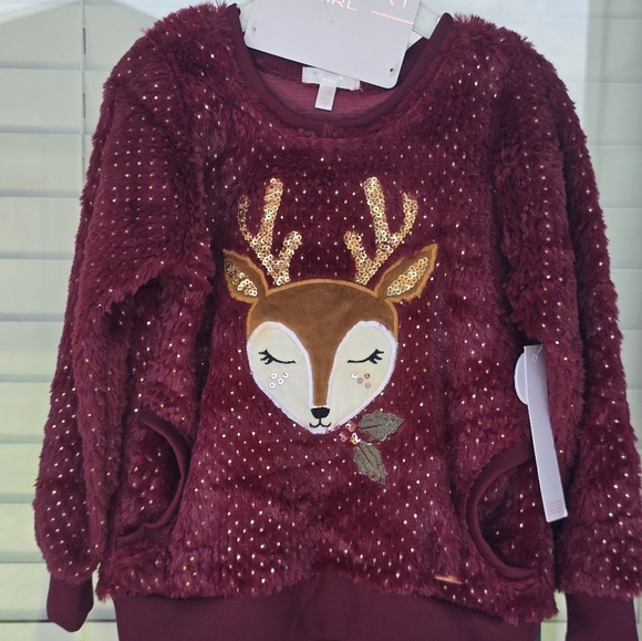 Tahari 2 Piece Set Outfit Sweater & Pants Girls 4T Green Red New - Picture 4 of 15